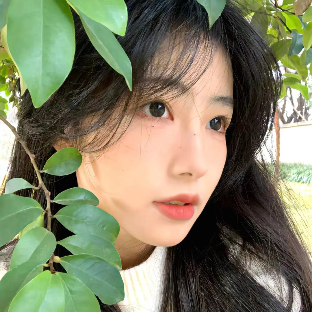 真正的家人