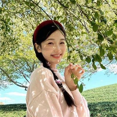 狗狗的疯狂假期